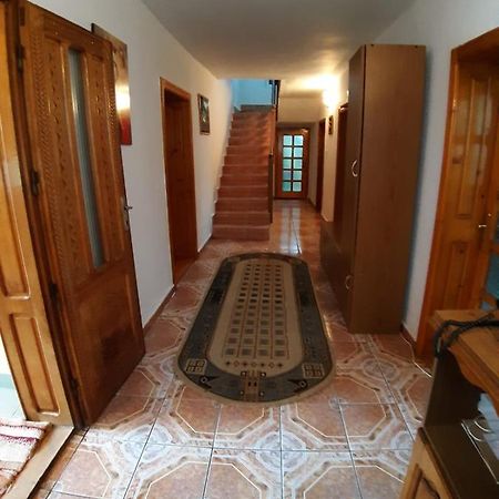 Pensiunea Covaciu Vadu Izei Bagian luar foto