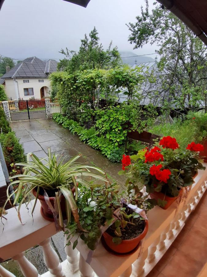 Pensiunea Covaciu Vadu Izei Bagian luar foto