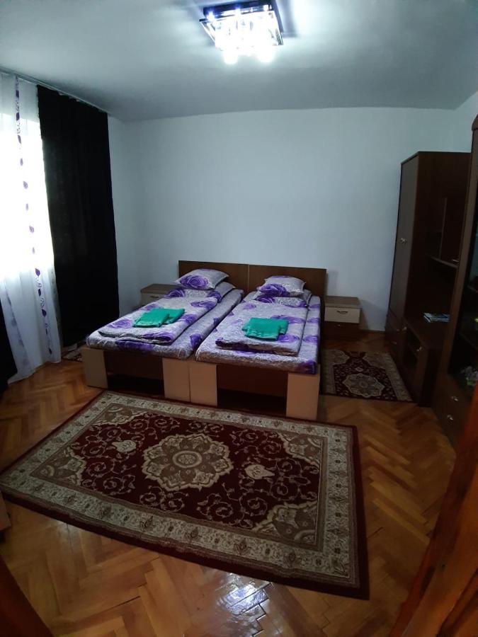 Pensiunea Covaciu Vadu Izei Bagian luar foto