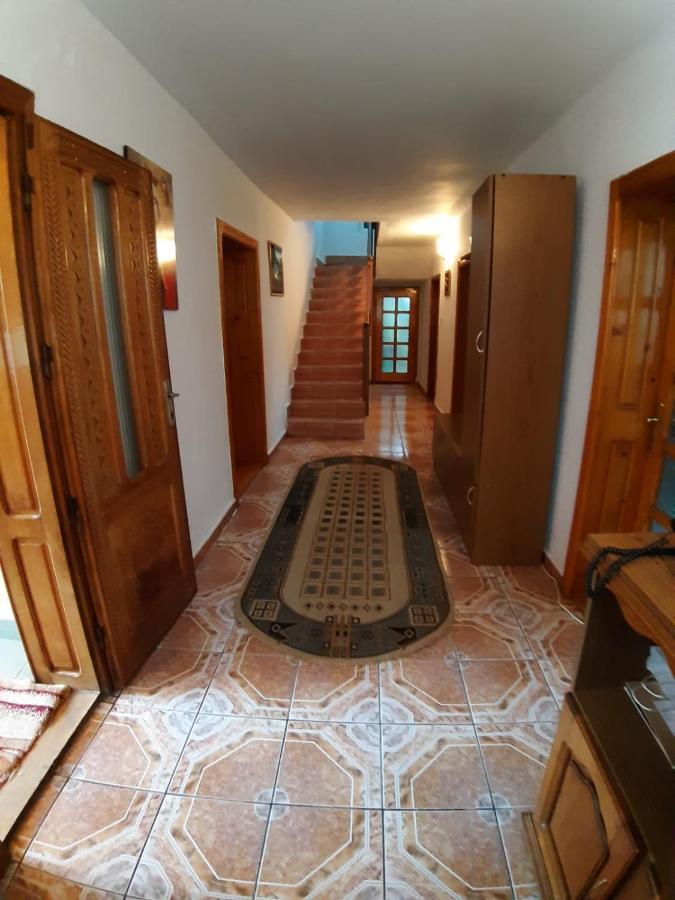 Pensiunea Covaciu Vadu Izei Bagian luar foto