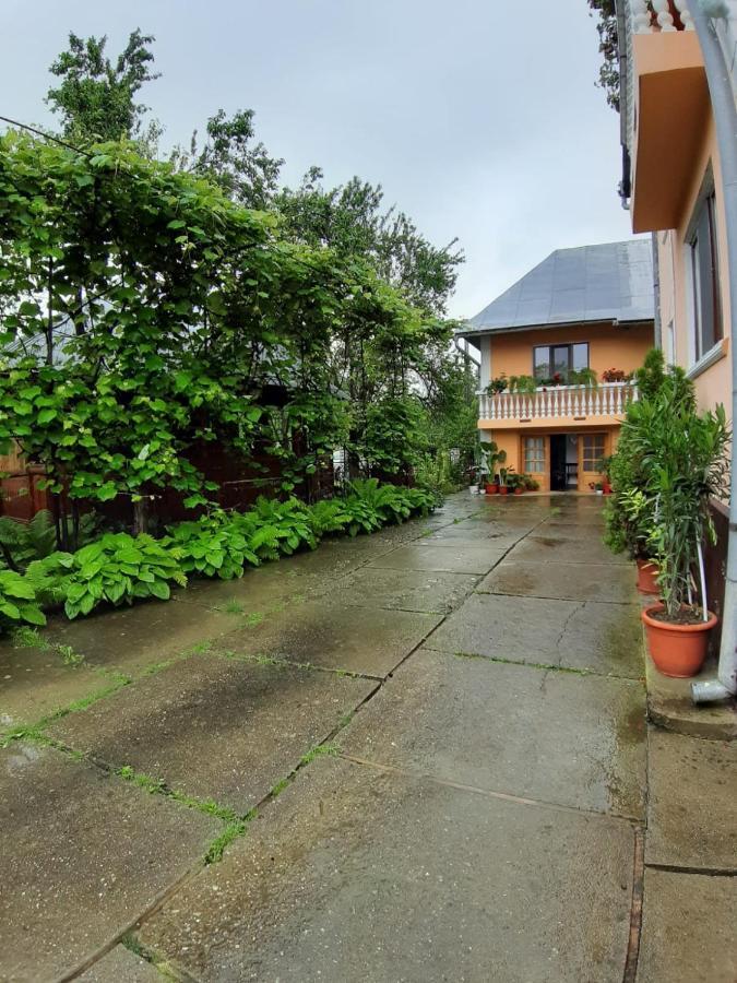 Pensiunea Covaciu Vadu Izei Bagian luar foto