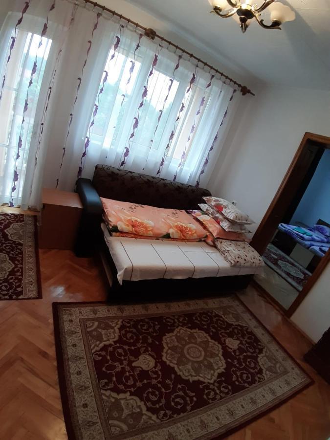 Pensiunea Covaciu Vadu Izei Bagian luar foto