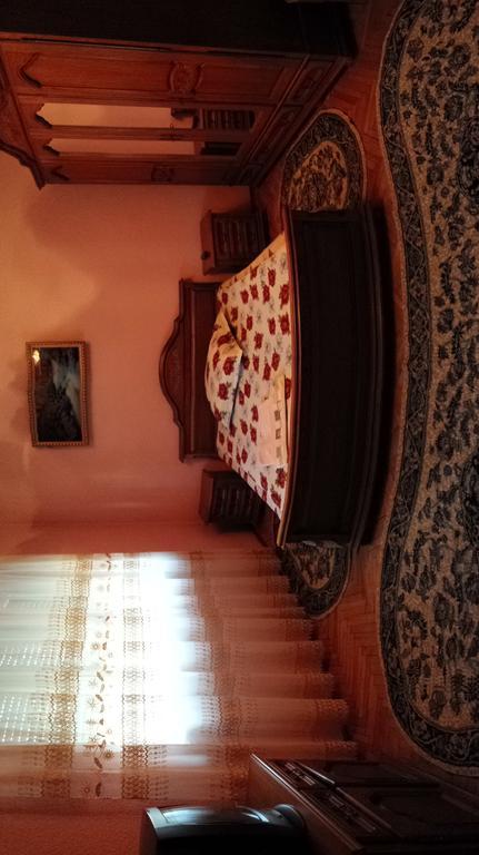 Pensiunea Covaciu Vadu Izei Bagian luar foto