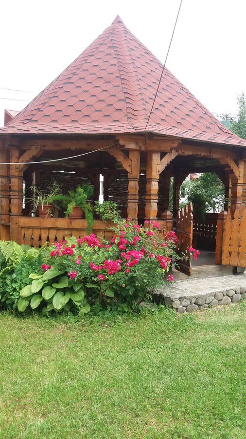 Pensiunea Covaciu Vadu Izei Bagian luar foto
