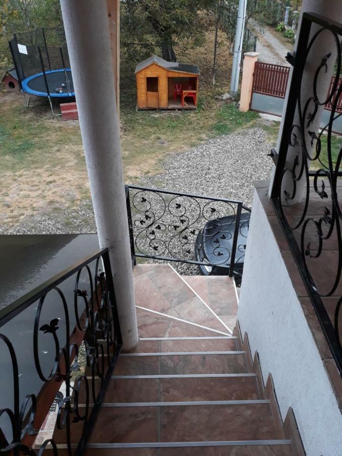 Pensiunea Covaciu Vadu Izei Bagian luar foto