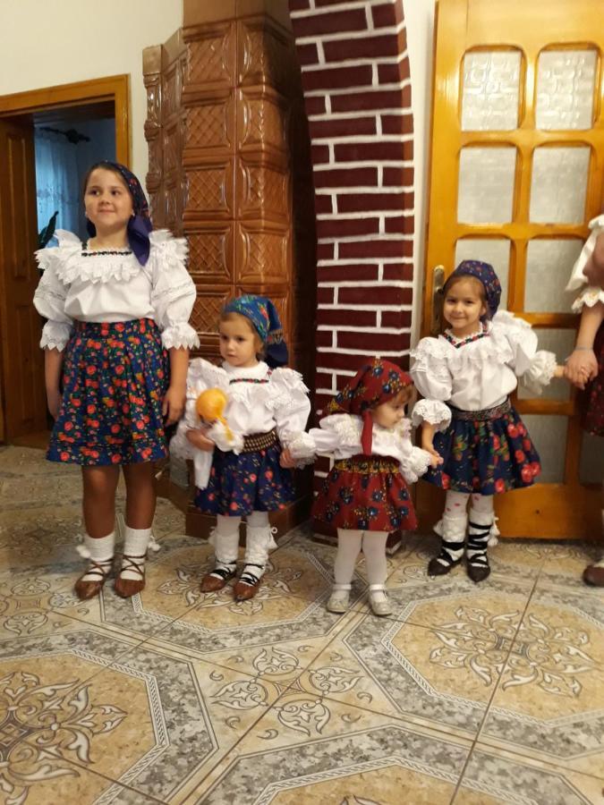 Pensiunea Covaciu Vadu Izei Bagian luar foto